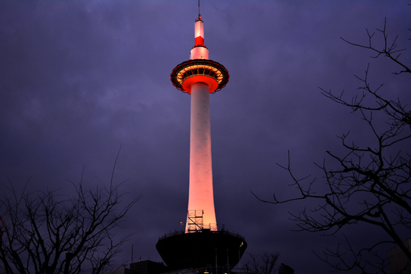 130116 8 DSC_1021.jpg